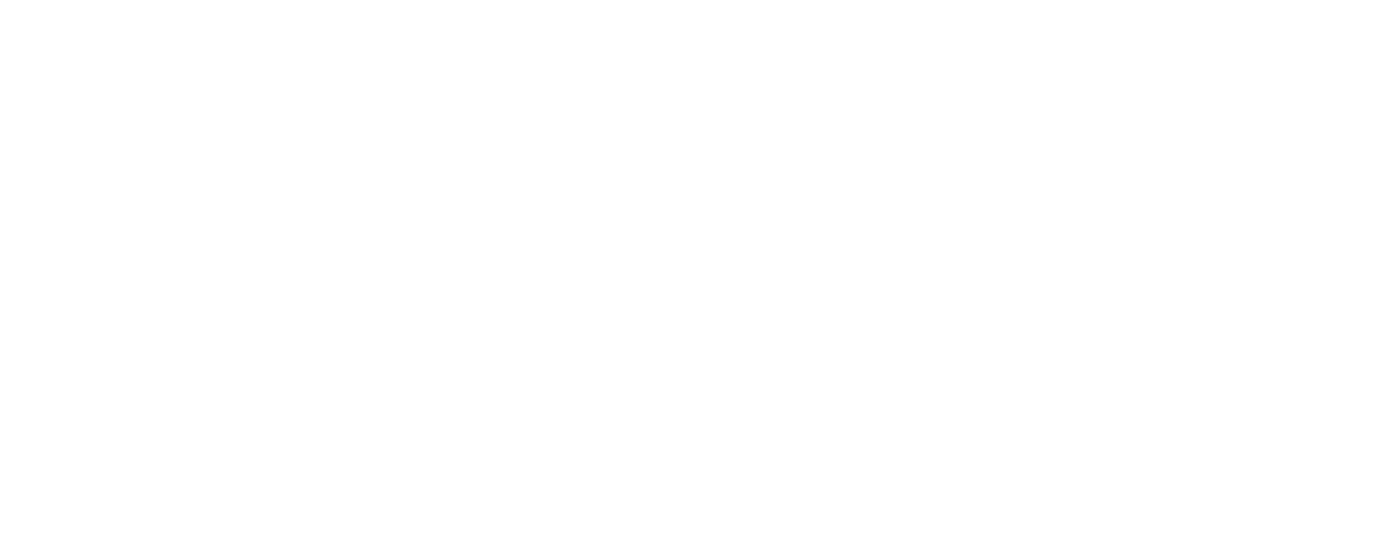 DMI Logo